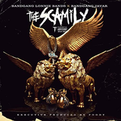 The Scamily