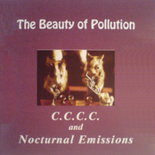 The Beauty Of Pollution