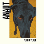Perro verde