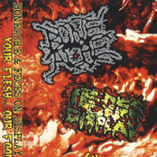 Boneache / Feces on Display