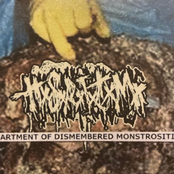 Department Of Dismembered Monstrosities