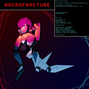 MACROFRACTURE