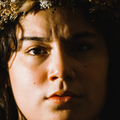 Careful Gaze: Wrath Like Flowers Upon My Brow