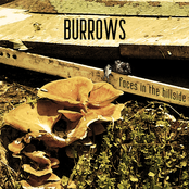 Dead Roads by Burrows