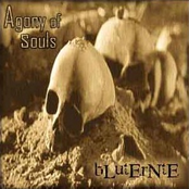 Point Of View by Agony Of Souls