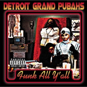 One Hump Or Two by Detroit Grand Pubahs