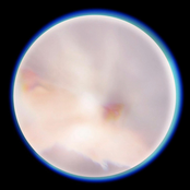 Let The Spirit Go Wild