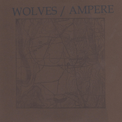 Wolves/Ampere Split