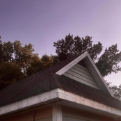 I'm Surprised You Haven't Said Anything.