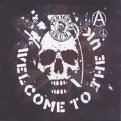 A-Heads / Pedagree Skum