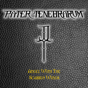 Angel With The Scabbed Wings