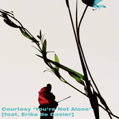 You're Not Alone (Dance Review)