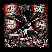 Indulge… Digest… Excrete…