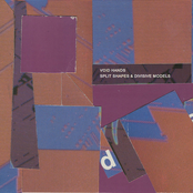 Split Shapes & Divisive Models