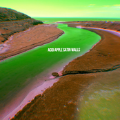 Acid Apple Satin Walls