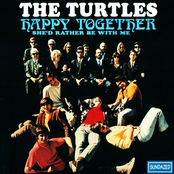 The Turtles: Happy Together