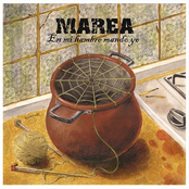 Pedimento by Marea