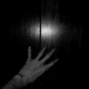 autosuggestions set 1