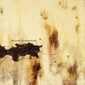 The Downward Spiral cover