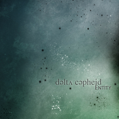 Entity (Promo 2010)
