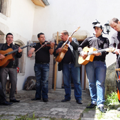 Timbo Mehrstein Gipsy Jazz Ensemble