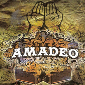 amadeo band