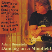 Adam Bernstein: Dancing on a Minefield