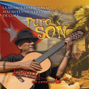 Puro Son (En Vivo)