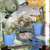 Slug Level Standards - Single