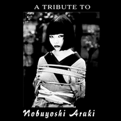 A Tribute to Nobuyoshi Araki
