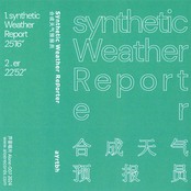 Synthetic Weather Reporter