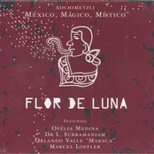 Flor De Luna