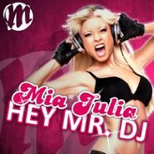 Hey Mr. DJ
