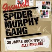 Spider Murphy Gang: 30 Jahre Rock'n'Roll