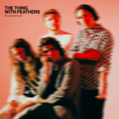 The Thing with Feathers: Lights Down Low
