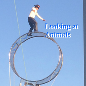 Instrumentals for Looking at Animals