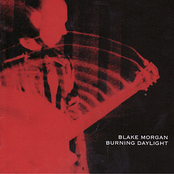 Blake Morgan: Burning Daylight