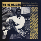 A Man Amongst Men by Big Joe Williams