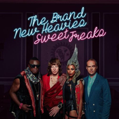 In The Name Of Love by The Brand New Heavies