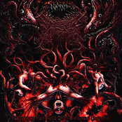 Dead Keloid Flesh Peels off an Infectious Organism