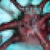 Vampire Squid Goes 8-Bit