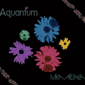 aquantum