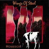 Wings of Steel: Homesick