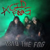 Into The Fog
