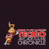 TECMO ARCADE GAME CHRONICLE