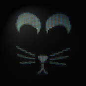 CATS CRY TOO (new version)