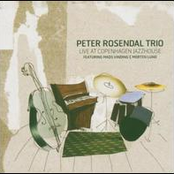 peter rosendal trio