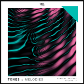 Tones & Melodies, Vol. 17