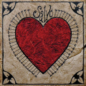 Salvo