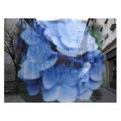 walking through rain-street-